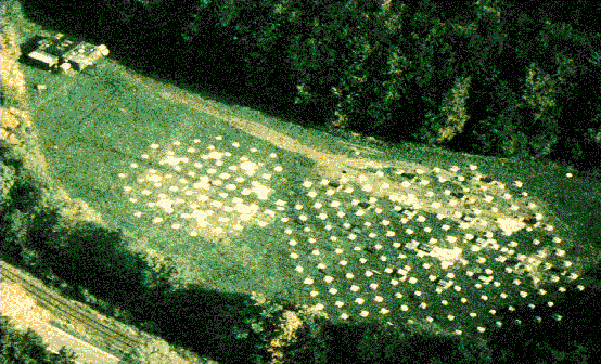SOUSY Harz Radar Facility